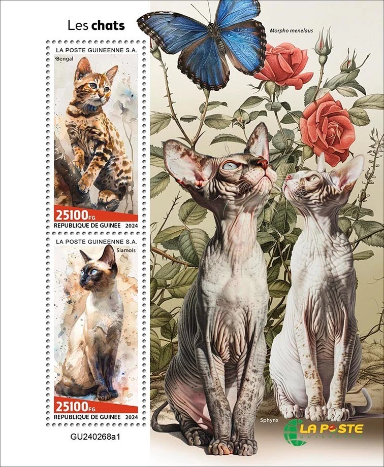 Estampillas de gatos Bengala siamés Morpho Menelaus Sphynx MNH 2024 Guinea M/S Foto 1 de 1