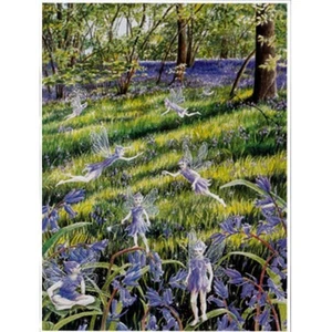 PAGAN WICCAN GREETING CARD Bluebell Fairies GODDESS BIRTHDAY CELTIC WENDY ANDREW - Picture 1 of 8