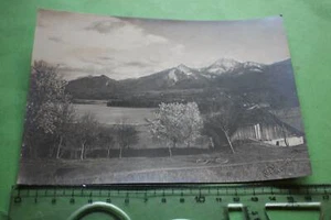 gran foto antigua Faaker lago región Villach - años 20-30 - Imagen 1 de 1