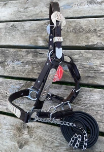 Pony size silver overlaid leather Western show halter  w/copper accents,  lead - Picture 1 of 4