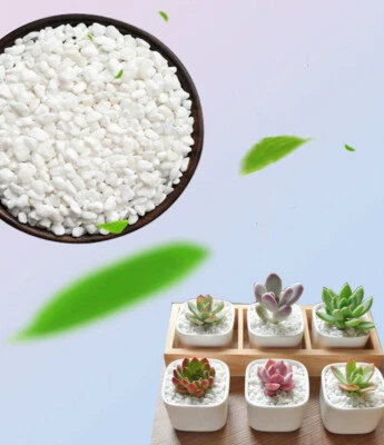 NATURAL WHITE STONE PEBBLES FOR BONSAI SUCCULENTS PLANTS FISH TANK HYDROPONIC