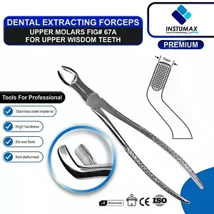 Surgical Forcep Fig. 67 lower Molar Dental Tooth Extractor Forceps Extraction CE - Picture 1 of 16