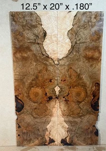 Ambrosia MAPLE BURL - Gitarrenplatte Gitarrenbauer Holz Schnittholz Materialien Bassgitarre - Bild 1 von 12
