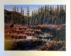 Signed wildlife art print, Black Bears, Beaver Art, Sleeping Giant, Ontario - Picture 1 of 8