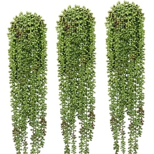 3 Pcs String of Pearls Plant Artificial Hanging Succulents Plants for Home Ga... - Picture 1 of 7