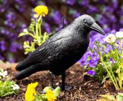 Garden Decoy Crow Repeller Pest Control Outdoor Black Bird Scarer Realistic - Image 1 of 4