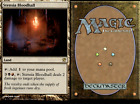 Magic the Gathering -MTG-Stensia Bloodhall LP