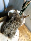 Handmade Gundog Training Rabbit Fur Dummy 125g Strong, Durable, Washable
