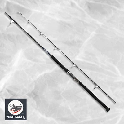 Varilla giratoria Daiwa SALTIGA C 75-5 JDM envío desde JAPÓN Foto 1 de 2