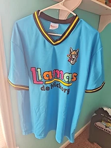 Jersey promocional Hickory Crawdads Llamas de Hickory adulto talla XL - Imagen 1 de 5