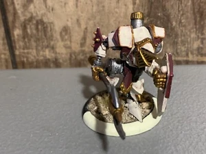 A16020 HORDES WARMACHINE PROTECTORATE MENOTH DEVOUT METAL PAINTED PRIVATEER - Picture 1 of 12