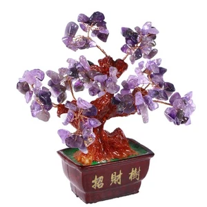 Citrin Geld Baum Citrin Baum Von Reichtum Topfpflanzen Chinesische Geld Baum - Bild 1 von 9