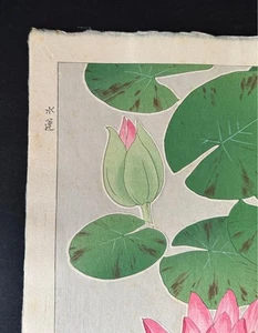 Kawarazaki Shodo libro stampa xilografia giapponese "ninfea" 24x36 cm - Foto 1 di 10