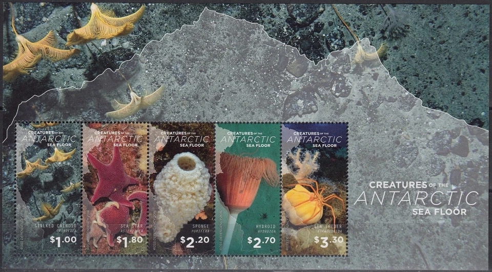 ROSS DEP. 2016 Creatures of the Antarctic Sea Floor, M/S MNH - Image 1 of 1