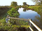 Photo 6X4 Bridgwater And Taunton Canal Hedging Going South From Higher Ma C2008