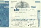 ConEdison, Consolidated Edison Company of New York, Thomas Alva Edison, USA