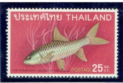 THAILAND 1968 Fish (Fauna) 25s - Image 1 of 2