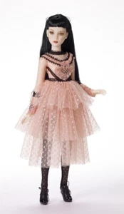 Tonner Phyn & Aero She Persisted outfit for Annora Monet doll NRFB LE 75 - Bild 1 von 3
