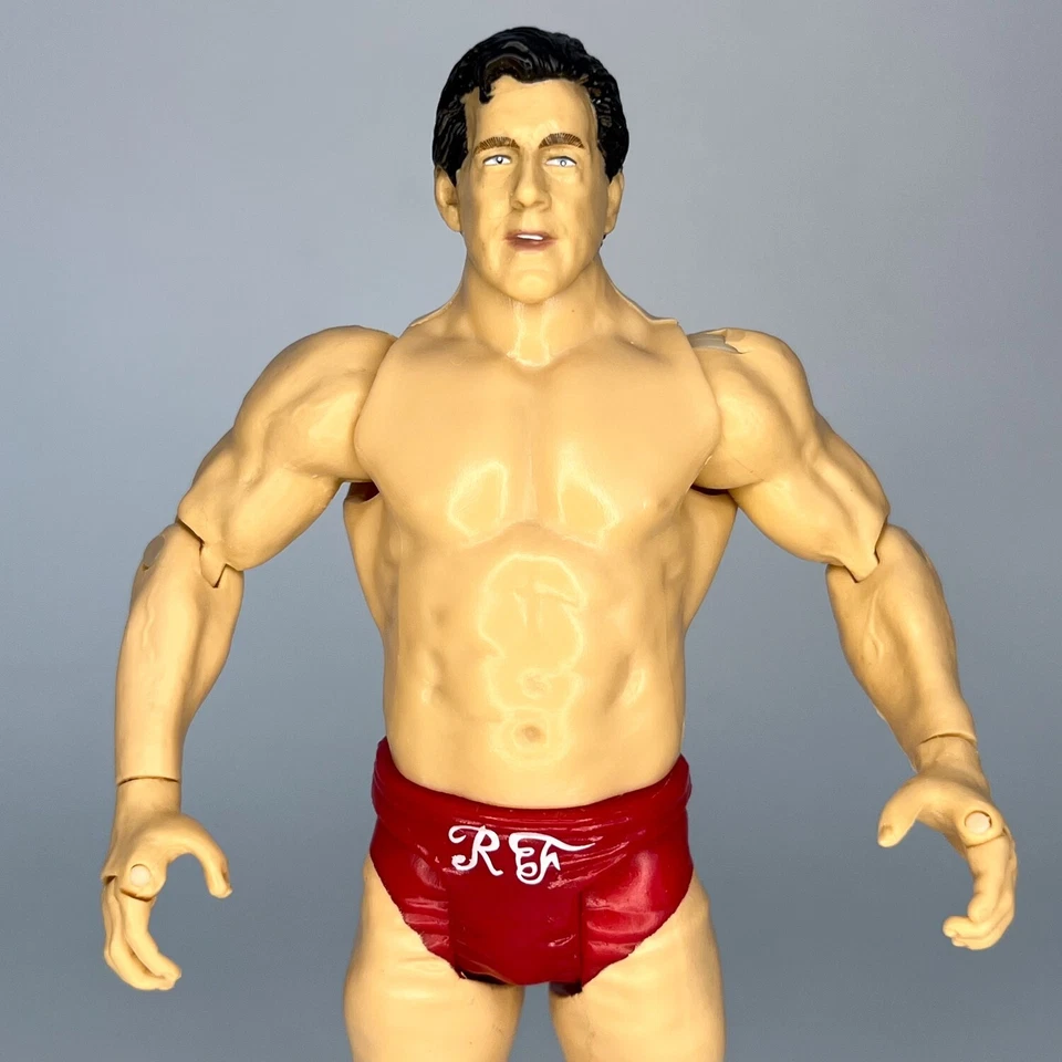 Figura WWE R-3 Tech RIC FLAIR WrestleMania X8 Jakks Pelo Negro Variante Error WWF Foto 1 de 4