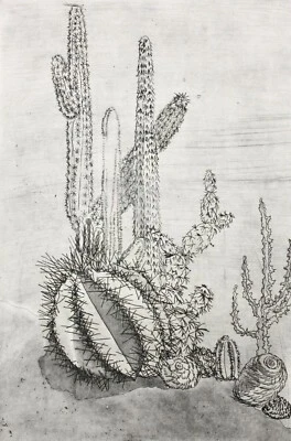 Elgin Müller-Bollhagen, signierte Aquatinta Radierung Kakteen, Kaktus, Cactaceae - Bild 1 von 4