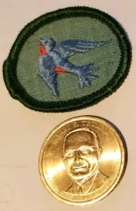 Parche de golondrina azul - Imagen 1 de 7