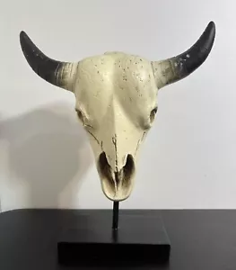 "Cráneo de novillo Western Cow Bull con cuernos blanco decoración de mesa de escritorio raro 12""" - Imagen 1 de 15