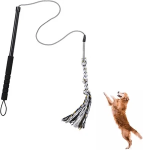 Pragmatist Outdoor Flirt Pole for Dog, Detachable Dog Heavy Black - Picture 1 of 6
