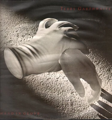 Terry Garthwaite Hand In Glove LP vinyl UK Fantasy 1978 Sleeve has seam split - Image 1 of 3