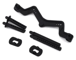 ASC71066 Team Associated DR10 Body Mount & Posts - Picture 1 of 1