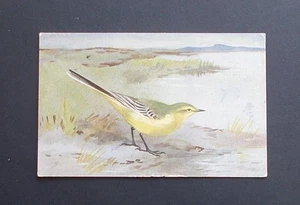 Birds , The R S Art Press R S Series - Picture 1 of 2