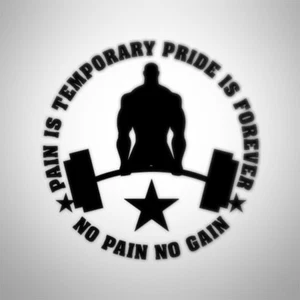 Gym No Pain No Gain Sticker Decal Motivational Vinyl Sticker Wall Mirror Door - Picture 1 of 2