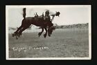Calgary Stampede, Scene of a cowboy riding a saddled bucking bronc- Old Photo