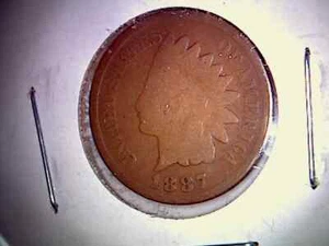 1887 P 1891 P 1892 P 1898 P Indian Head Pennies Circulated. P128 - Picture 1 of 8