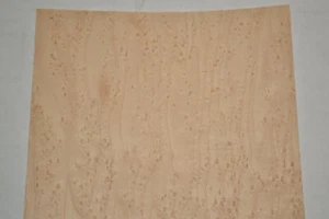 Vogelaugenahorn rohes Holzfurnier Blatt 6 x 26 Zoll 1:42 dick 8631-22 - Bild 1 von 9
