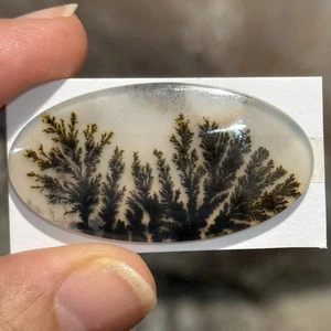 29ct 41x21,5x4,5mm Dendrit Achat Kristall Doublet Oval Cabochon Bildstein - Bild 1 von 12