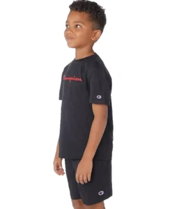 Champion Boys' Youth 2-pack Tee - Black Gray Size L (14/16) - Picture 1 of 4