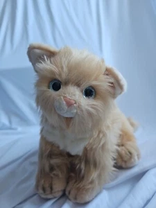 Aurora very Life Like Cream black tabby blue eyes  Aurora World Inc. 13" - Picture 1 of 12