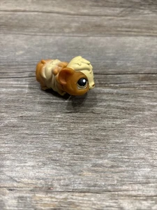 LITTLEST PET SHOP LPS #213 Vintage Authentic Tan Brown Guinea Pig Green Eyes - Picture 1 of 4