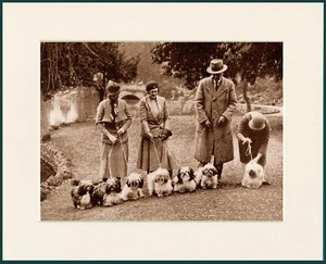 LHASA APSO LADIES AND DOGS AT SHOW LOVELY IMAGE DOG PRINT MOUNTED READY TO FRAME - Foto 1 di 1