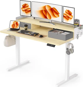 48X24 Inches Electric Standing Desk with 2 Drawers, Height Adjustable Stand up D - Picture 1 of 9