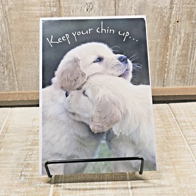 Leanin Tree Greeting Card Encouragement Puppies Chin Up Black White - Image 1 of 4