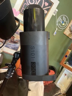 Juego de dos monolights NEEWER S101-300W Foto 1 de 4