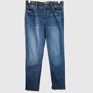 Soft Surroundings Straight Jeans High Rise Medium Blue Wash Denim Casual Stretchy - Bild 1 von 11