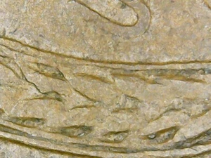 1950-D Die Chip Rev. - Picture 1 of 3