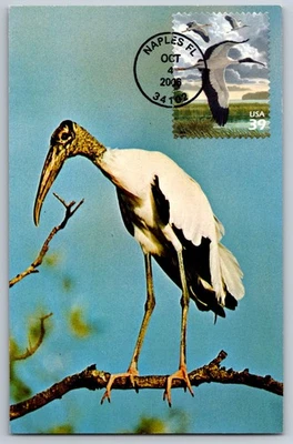 #4099c Southern Florida Wetland Wood Stork FDC Maxi Card - Image 1 of 2