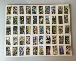 WILD FLOWERS SERIES 1.2 - BROOKE BOND TEA CARDS - SELECT YOUR CARD - Picture 1 of 2