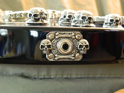 CUBIERTA SKULL JACK apta para guitarra bc rich MOCKINGBIRD placa de metal rectangular ¡HECHA A MANO! Foto 1 de 2