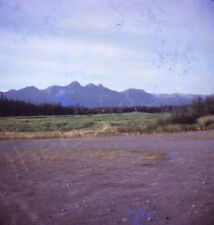 1970s Alaska Landscape Mountain Grassy Tree View Vintage 126 Kodachrome Slide