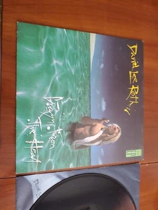 David Lee Roth Crazy From The Heat VINYL EP 1985 Vintage NM First Press Nice - Bild 1 von 5