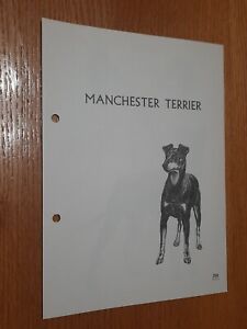 Manchester Terrier Breed Supplement RAS Kennel Control Sporting Terriers Group 2